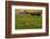 Red Barn, Hay Bales, Albion, Palouse Area, Washington, USA-Michel Hersen-Framed Photographic Print