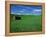 Red Barn in a Wheat Field-Darrell Gulin-Framed Premier Image Canvas