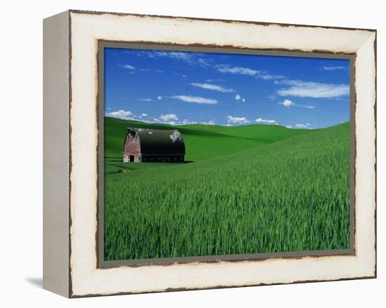 Red Barn in a Wheat Field-Darrell Gulin-Framed Premier Image Canvas