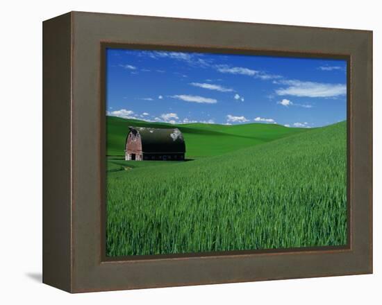 Red Barn in a Wheat Field-Darrell Gulin-Framed Premier Image Canvas