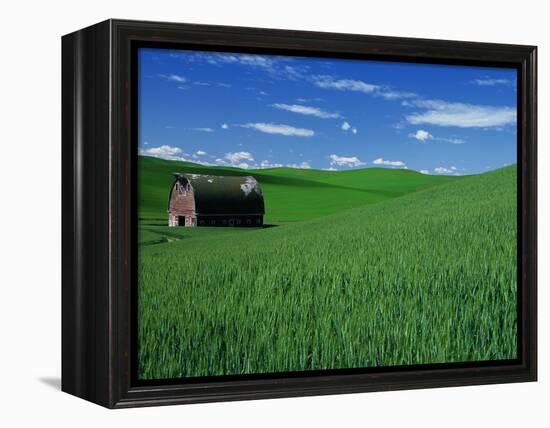 Red Barn in a Wheat Field-Darrell Gulin-Framed Premier Image Canvas