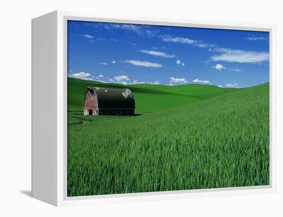 Red Barn in a Wheat Field-Darrell Gulin-Framed Premier Image Canvas