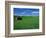 Red Barn in a Wheat Field-Darrell Gulin-Framed Photographic Print