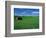 Red Barn in a Wheat Field-Darrell Gulin-Framed Photographic Print