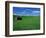Red Barn in a Wheat Field-Darrell Gulin-Framed Photographic Print