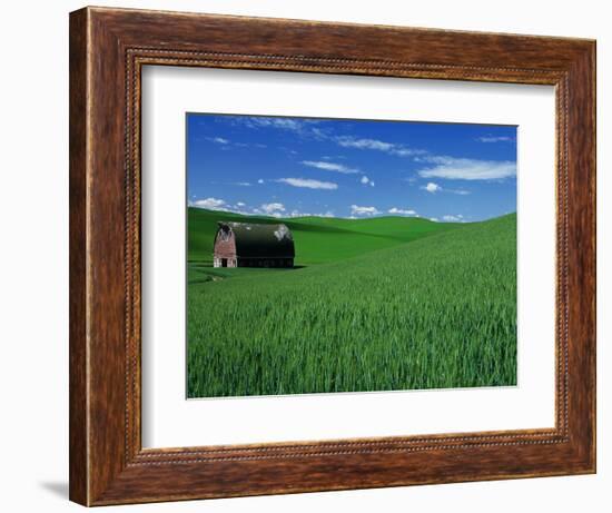 Red Barn in a Wheat Field-Darrell Gulin-Framed Photographic Print