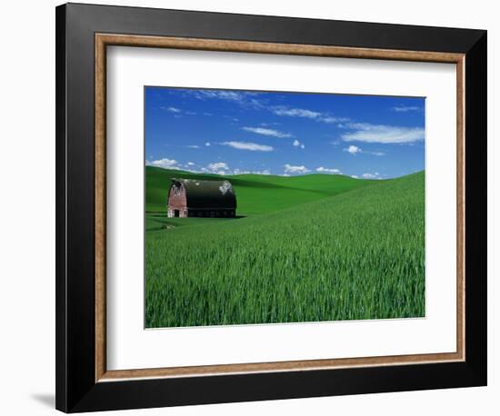 Red Barn in a Wheat Field-Darrell Gulin-Framed Photographic Print