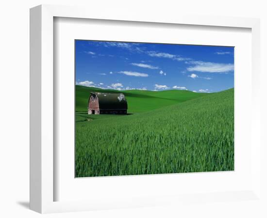 Red Barn in a Wheat Field-Darrell Gulin-Framed Photographic Print