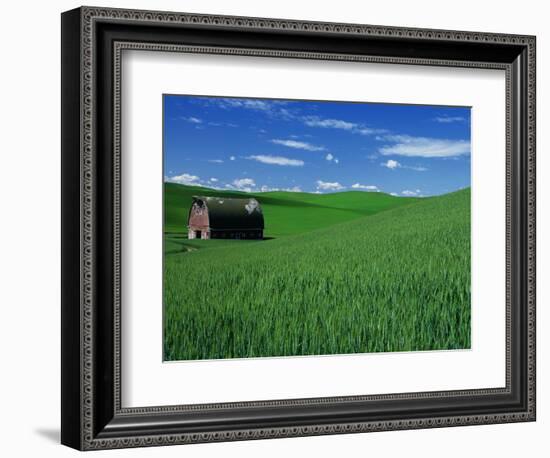 Red Barn in a Wheat Field-Darrell Gulin-Framed Photographic Print