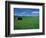 Red Barn in a Wheat Field-Darrell Gulin-Framed Photographic Print