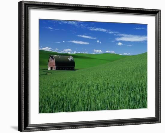 Red Barn in a Wheat Field-Darrell Gulin-Framed Photographic Print