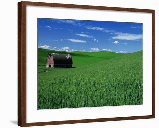 Red Barn in a Wheat Field-Darrell Gulin-Framed Photographic Print