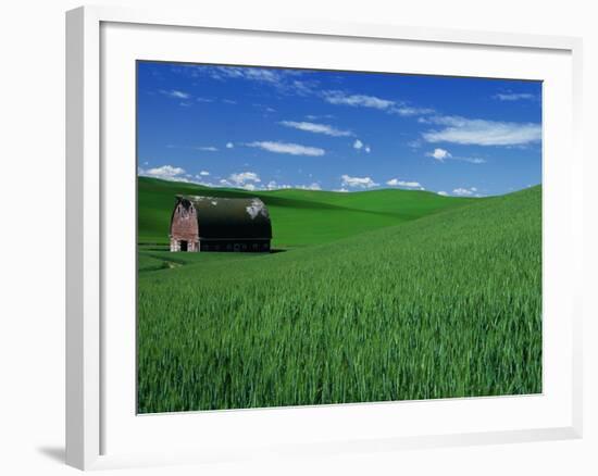 Red Barn in a Wheat Field-Darrell Gulin-Framed Photographic Print