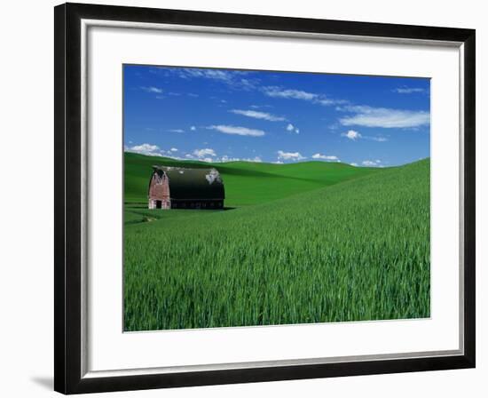 Red Barn in a Wheat Field-Darrell Gulin-Framed Photographic Print