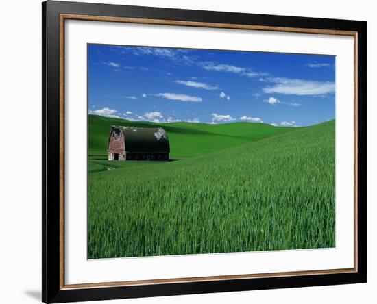 Red Barn in a Wheat Field-Darrell Gulin-Framed Photographic Print