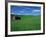 Red Barn in a Wheat Field-Darrell Gulin-Framed Photographic Print