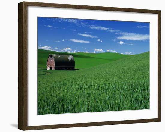 Red Barn in a Wheat Field-Darrell Gulin-Framed Photographic Print