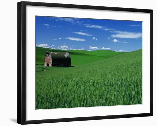 Red Barn in a Wheat Field-Darrell Gulin-Framed Photographic Print