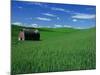 Red Barn in a Wheat Field-Darrell Gulin-Mounted Photographic Print