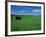 Red Barn in a Wheat Field-Darrell Gulin-Framed Photographic Print