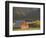 Red Barn in Fall, British Columbia, Canada-Walter Bibikow-Framed Photographic Print