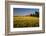 Red Barn in Field of Harvest Wheat-Terry Eggers-Framed Photographic Print