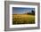 Red Barn in Field of Harvest Wheat-Terry Eggers-Framed Photographic Print