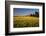 Red Barn in Field of Harvest Wheat-Terry Eggers-Framed Photographic Print