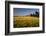 Red Barn in Field of Harvest Wheat-Terry Eggers-Framed Photographic Print