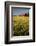 Red Barn in Field of Harvest Wheat-Terry Eggers-Framed Photographic Print