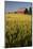 Red Barn in Field of Harvest Wheat-Terry Eggers-Mounted Photographic Print