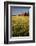 Red Barn in Field of Harvest Wheat-Terry Eggers-Framed Photographic Print