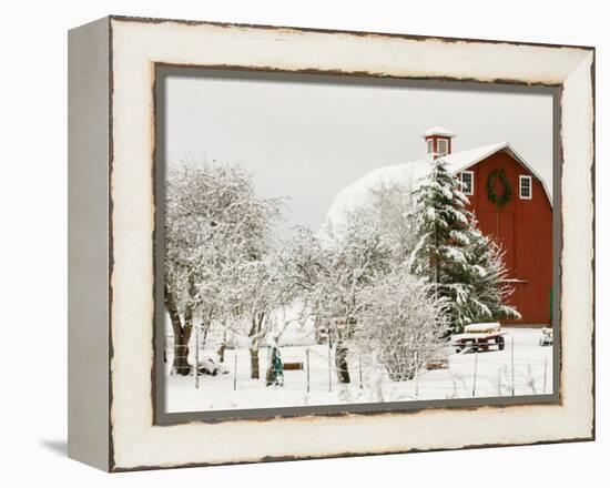 Red Barn in Fresh Snow, Whidbey Island, Washington, USA-Trish Drury-Framed Premier Image Canvas