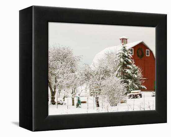 Red Barn in Fresh Snow, Whidbey Island, Washington, USA-Trish Drury-Framed Premier Image Canvas