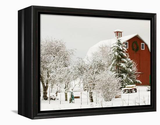 Red Barn in Fresh Snow, Whidbey Island, Washington, USA-Trish Drury-Framed Premier Image Canvas