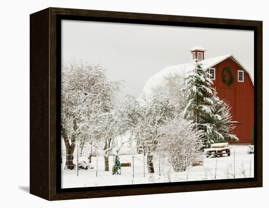 Red Barn in Fresh Snow, Whidbey Island, Washington, USA-Trish Drury-Framed Premier Image Canvas