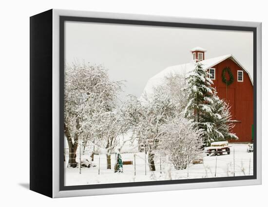 Red Barn in Fresh Snow, Whidbey Island, Washington, USA-Trish Drury-Framed Premier Image Canvas