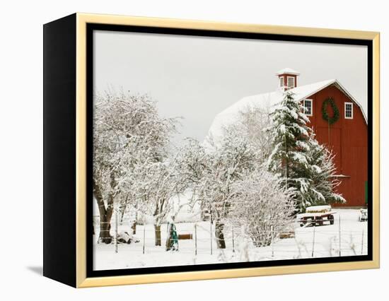 Red Barn in Fresh Snow, Whidbey Island, Washington, USA-Trish Drury-Framed Premier Image Canvas