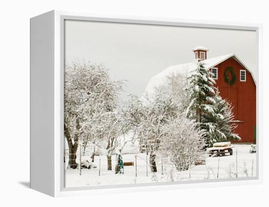 Red Barn in Fresh Snow, Whidbey Island, Washington, USA-Trish Drury-Framed Premier Image Canvas