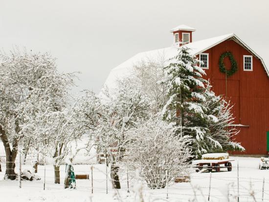 Red Barn in Fresh Snow, Whidbey Island, Washington, USA-Trish Drury-Framed Photographic Print