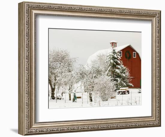 Red Barn in Fresh Snow, Whidbey Island, Washington, USA-Trish Drury-Framed Photographic Print