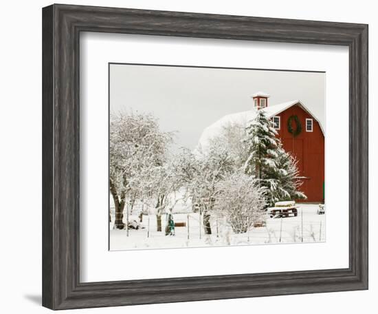 Red Barn in Fresh Snow, Whidbey Island, Washington, USA-Trish Drury-Framed Photographic Print