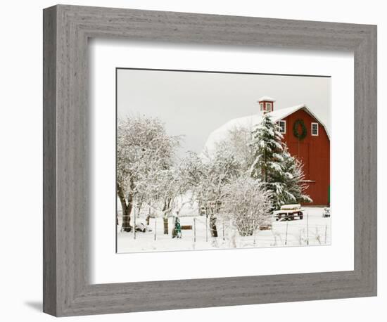 Red Barn in Fresh Snow, Whidbey Island, Washington, USA-Trish Drury-Framed Photographic Print