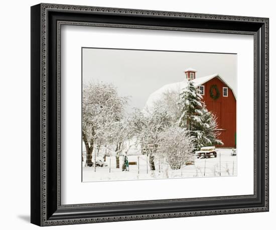 Red Barn in Fresh Snow, Whidbey Island, Washington, USA-Trish Drury-Framed Photographic Print