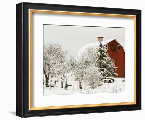 Red Barn in Fresh Snow, Whidbey Island, Washington, USA-Trish Drury-Framed Photographic Print