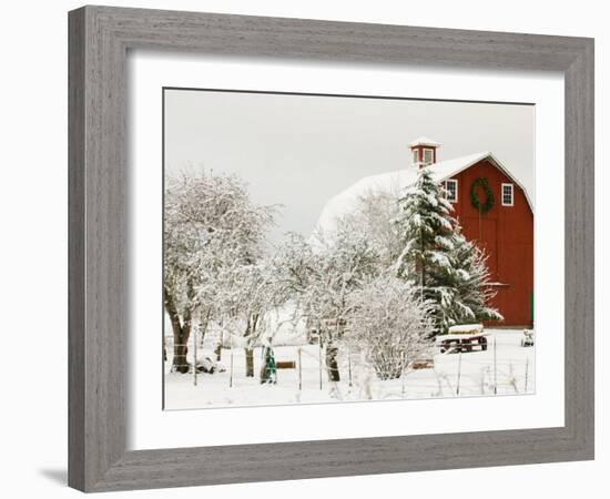 Red Barn in Fresh Snow, Whidbey Island, Washington, USA-Trish Drury-Framed Photographic Print