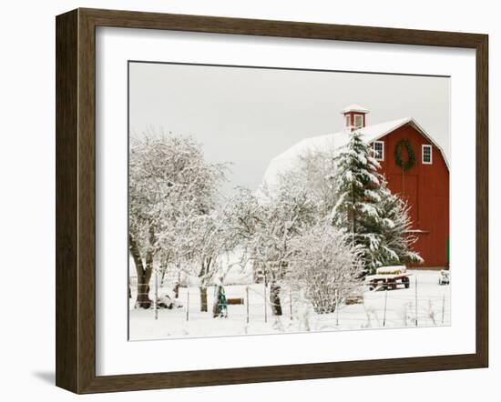 Red Barn in Fresh Snow, Whidbey Island, Washington, USA-Trish Drury-Framed Photographic Print