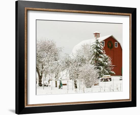 Red Barn in Fresh Snow, Whidbey Island, Washington, USA-Trish Drury-Framed Photographic Print