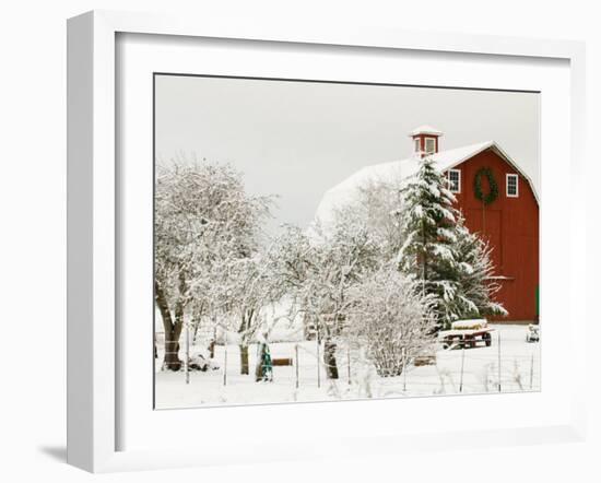 Red Barn in Fresh Snow, Whidbey Island, Washington, USA-Trish Drury-Framed Photographic Print