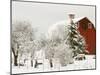 Red Barn in Fresh Snow, Whidbey Island, Washington, USA-Trish Drury-Mounted Photographic Print